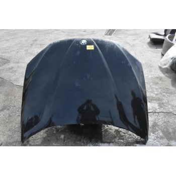 Καπό Bmw X1 2009-2015 (ME XTYPHMA)