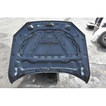 Καπό Bmw X1 2009-2015 (ME XTYPHMA)