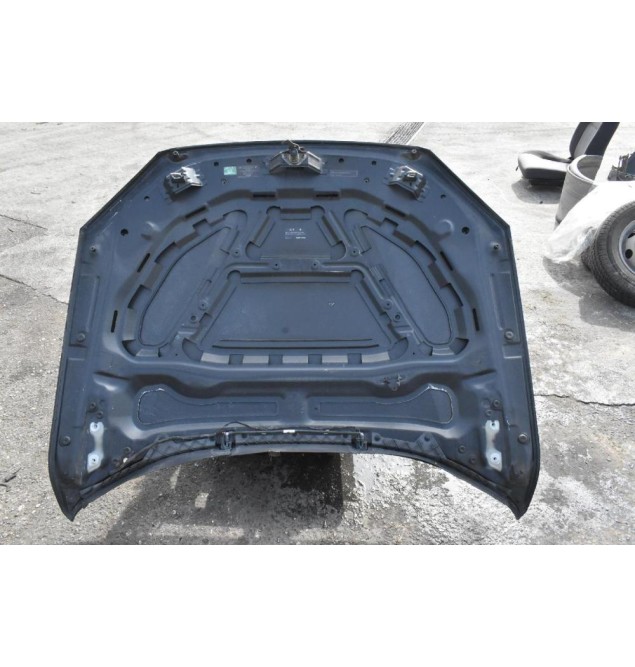 Καπό Bmw X1 2009-2015 (ME XTYPHMA)