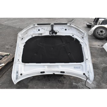 Καπό Audi A4 2008-2011 Β8
