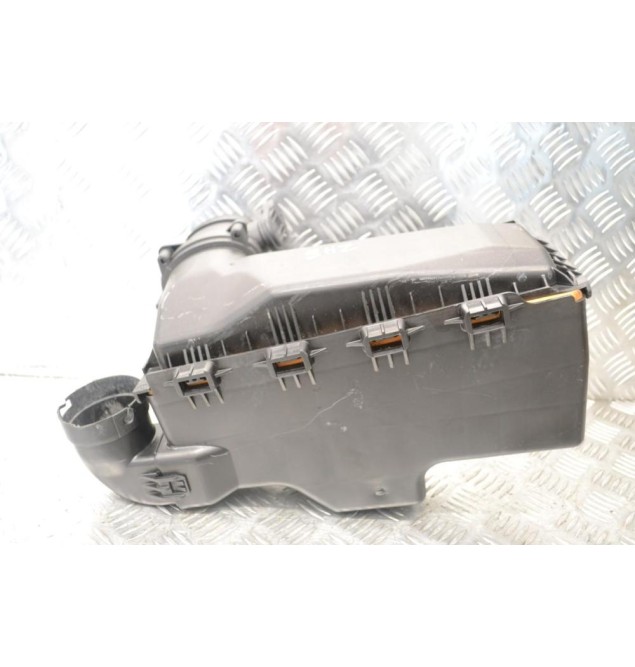 Φιλτροκούτι Peugeot 207 - 307 - 308 - 206 (Citroen C2 - C3 C3 Picasso - C4) 2006-2015 9663365980