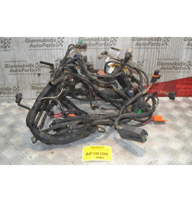 Πλεξούδα Κινητήρα Renault Clio III Αρ.Κινητήρα K9K766 2005-2012 8200220641