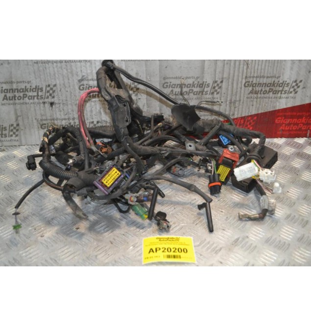 Πλεξούδα Κινητήρα Renault Clio III Αρ.Κινητήρα K9K766 2005-2012 8200220641