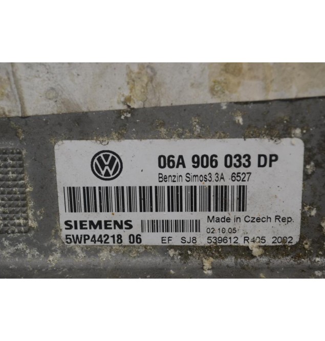 Εγκέφαλος Volkswagen Beetle (New) 2001-2006 Siemens 06A906033DP 5WP4421806