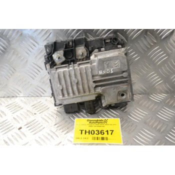 Εγκέφαλος Peugeot 2008 2015-2025 DELPHI HN01 9819596180