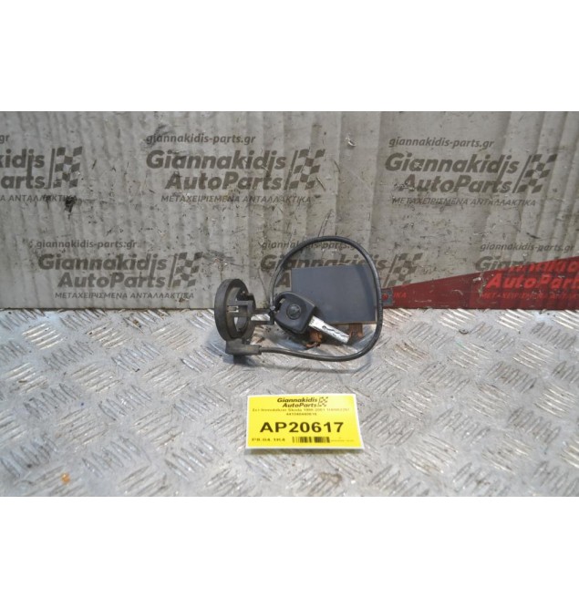 Σετ Immobilizer Skoda 1998-2001 1H0953257 441040460616