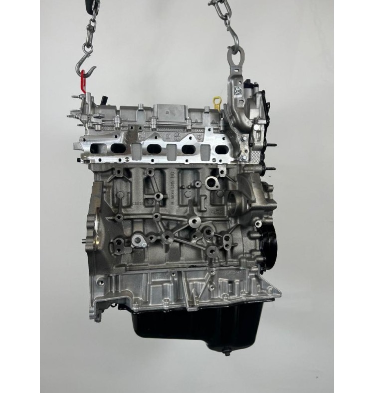 Κινητήρας - Μοτέρ Ford Transit 2.0 Ecoblue YLR6 2015-2022 (Καινουργια Γνησια) (Πισω κινηση) (BJRA YLRA)
