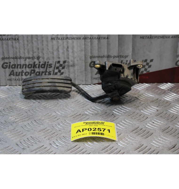 Πενταλ Γκαζιου-Ποντεσιόμετρο Ηλεκτρικό Renault Scenic 2003-2008 8200159645