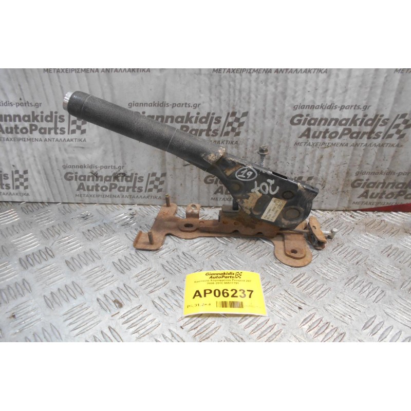 Καστάνια Χειροφρένου Peugeot 207 2006-2010 96517791