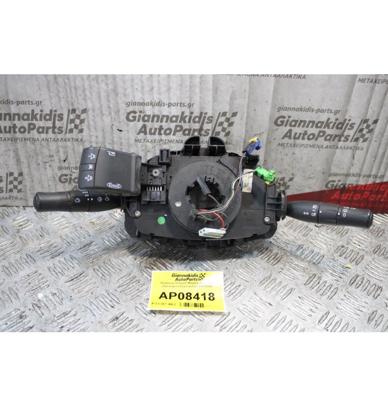 Φλασιερα Renault Megane 2002-2006 (Χαλασμένη Σερπαντίνα) 61835909