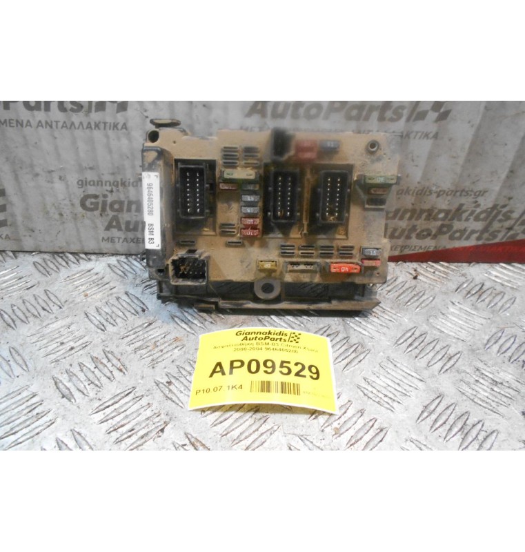Ασφαλειοθήκη BSM-B3 Citroen Xsara 2000-2004 9646405280