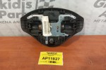 Αερόσακος Οδηγου Peugeot 207 2006-2010 96500674ZD