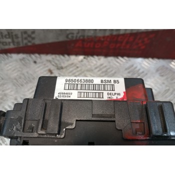 Ασφάλειες - Ασφαλειοθήκη Peugeot 307 2001-2005 9650663880 BSMB5