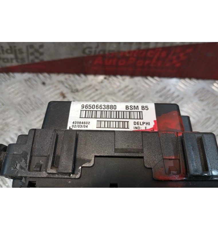 Ασφάλειες - Ασφαλειοθήκη Peugeot 307 2001-2005 9650663880 BSMB5