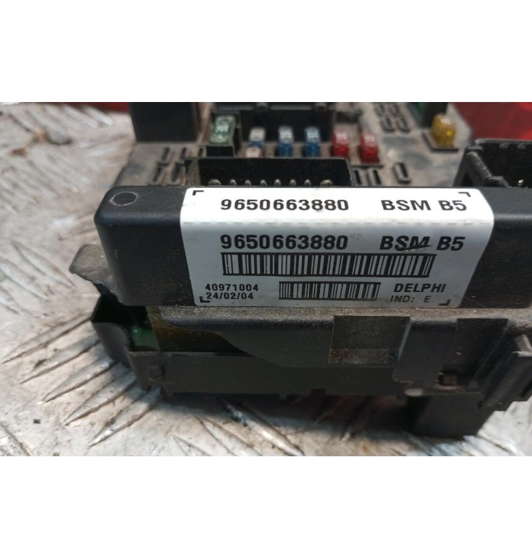 Ασφάλειες - Ασφαλειοθήκη Peugeot 307 2001-2005 9650663880 BSMB5