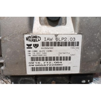 Εγκέφαλος Κινητηρα Peugeot 206 1998-2003 IAW6LP203