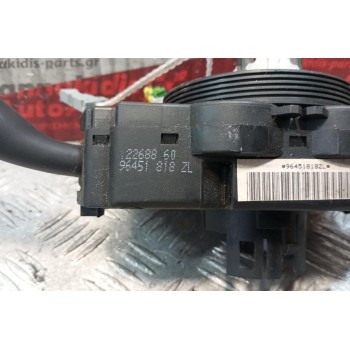 Φλασέρ -Φλασιέρα Citroen Xsara 2000-2004 4+2+2+2+6+6+2 pins