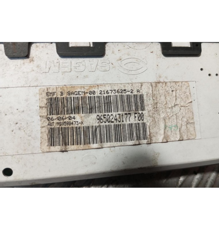 Οθόνη Πολλαπλων Ενδειξεων Citroen C5 2001-2004 1 Φις 9650243177F00