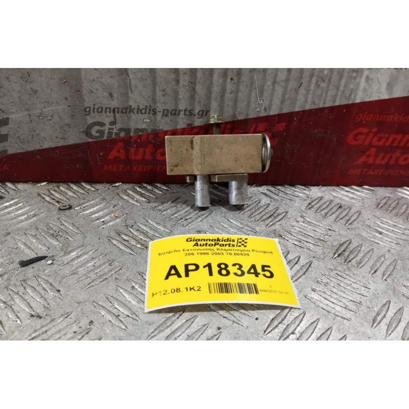 Βαλβιδα Εκτονωσης Κλιματισμου Peugeot 206 1998-2003 70.00829