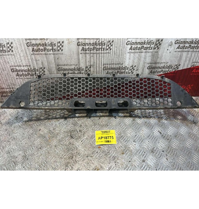 Δίχτυ-Σίτα Προφυλακτήρα Εμπρός Seat leon 2005-2013 1P0853667