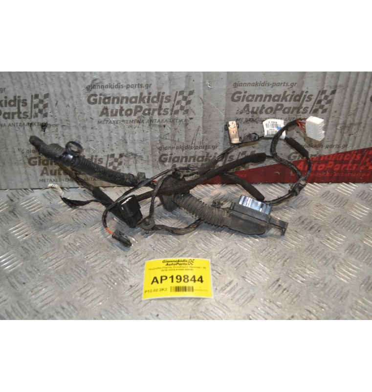 Πλεξούδα Πόρτας οδηγού Hyundai i 10 2016-2019 91600-B9040