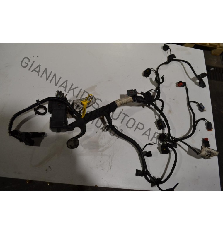 Πλεξούδα Ford Transit Connect 1.8cc TDCI RWPA 2006-2013