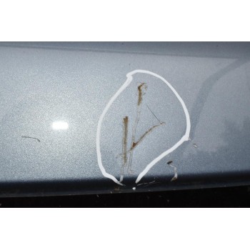 Τζαμόπορτα Hyundai Santa Fe 2006-2011 (Μικρό Χτύπημα)