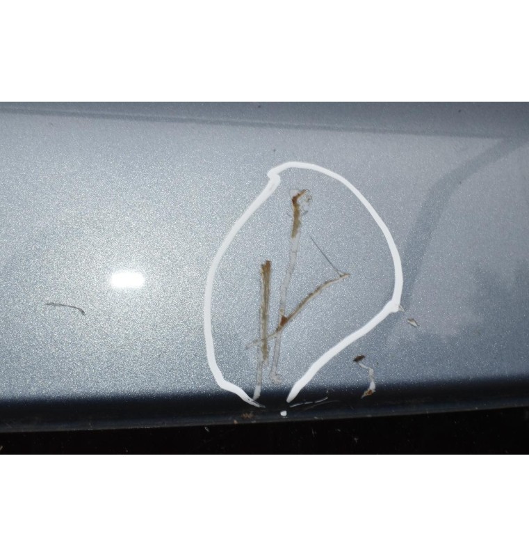 Τζαμόπορτα Hyundai Santa Fe 2006-2011 (Μικρό Χτύπημα)