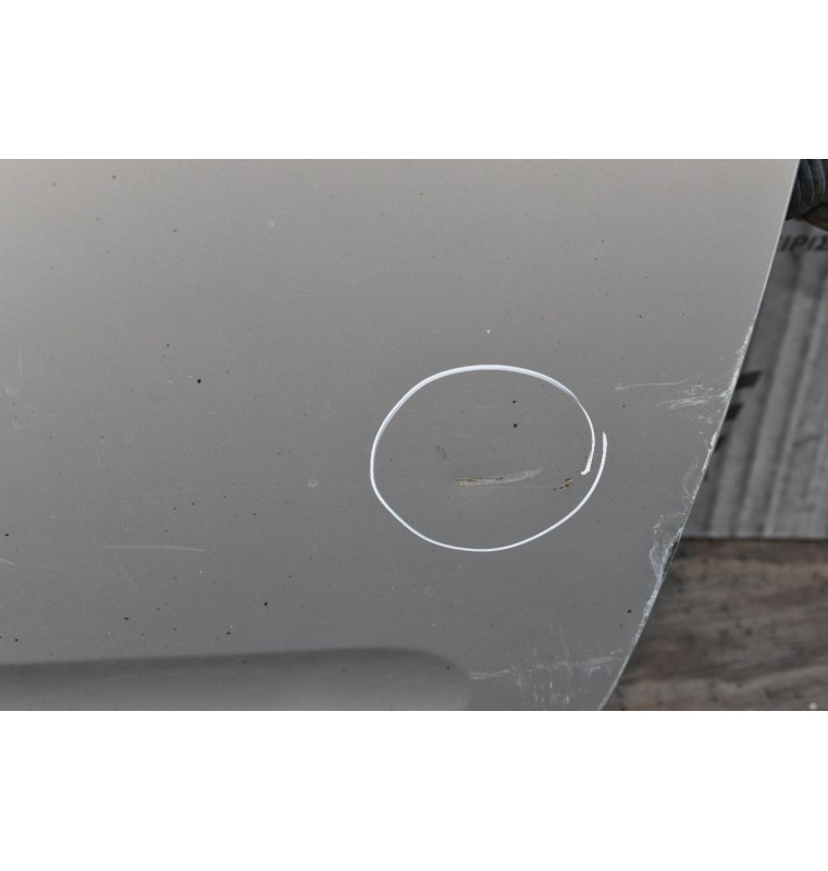 Πόρτα Εμπρός Δεξιά Nissan Navara D40 2006-2015 (Χωρίς Καθρέφτη) (Με Χτύπημα)