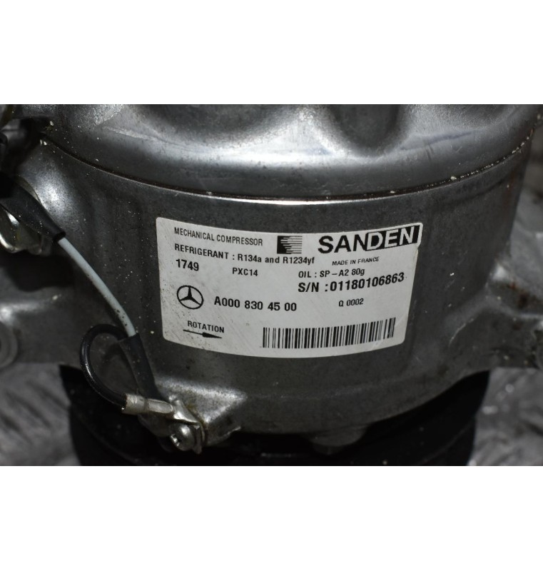 Κομπρεσέρ Aircondition - A/C Mercedes-Benz E W210 W211 W212 W213 2015-2018 SANDEN A0008304500