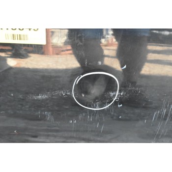 Πόρτα Εμπρός Δεξιά Nissan Navara D22 1998-2005 (Χωρίς Καθρέφτη) (Με Χτύπημα)