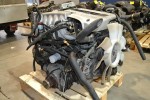 Κινητήρας - Μοτέρ Nissan Skyline 2.5 DET NEO RB25 (Με πλεξούδα & εγκέφαλο)