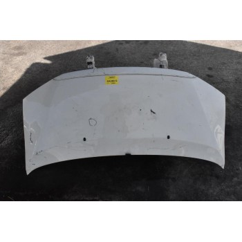 Καπό Toyota Hiace 2006-2012