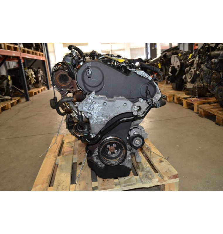 Κινητήρας - Μοτέρ Vw Golf/Skoda Octavia 1.6 Tdi CAY 2009-2013