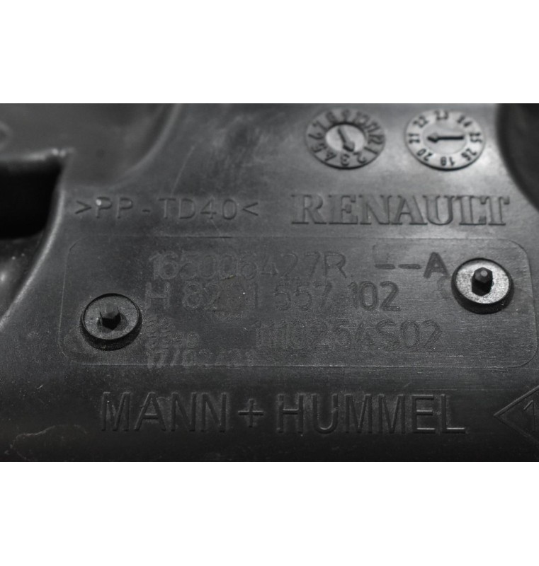 Φιλτροκούτι Renault Megane - Grand Scenic - Captur 1.3 TCE 2010-2022 165006427R (Γνήσιο)