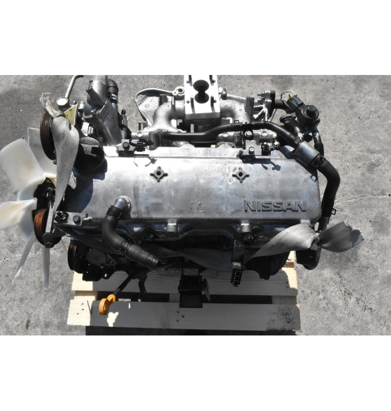 Κινητήρας Nissan King Cab D21 2.0 NA20 1990-2000 (Ετοιμη με πλάκα Z16/Z20)