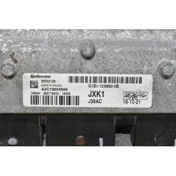 Εγκέφαλος Ford Fiesta 2008-2018 G1B1-12A650-VB A2C10654500