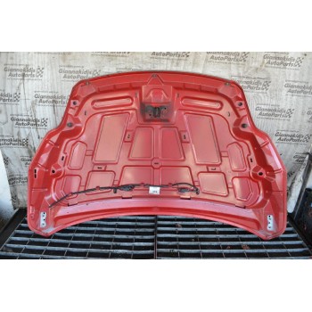 Καπο Εμπρός Ford Focus 2008-2010