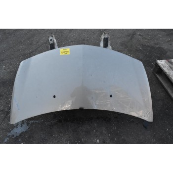 Καπό Renault Clio 2009-2013