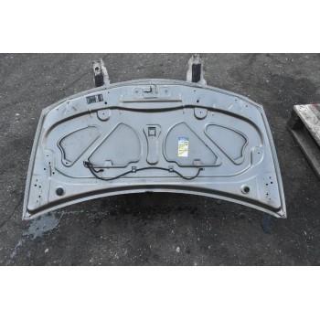 Καπό Renault Clio 2009-2013