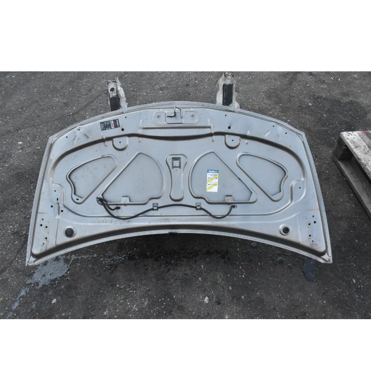 Καπό Renault Clio 2009-2013