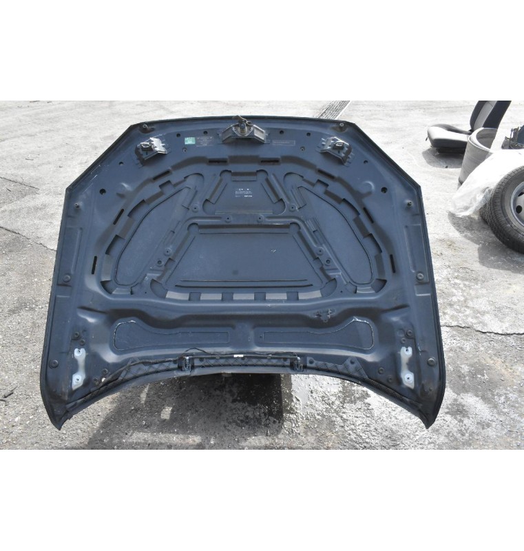 Καπό Bmw X1 2009-2015 (ME XTYPHMA)