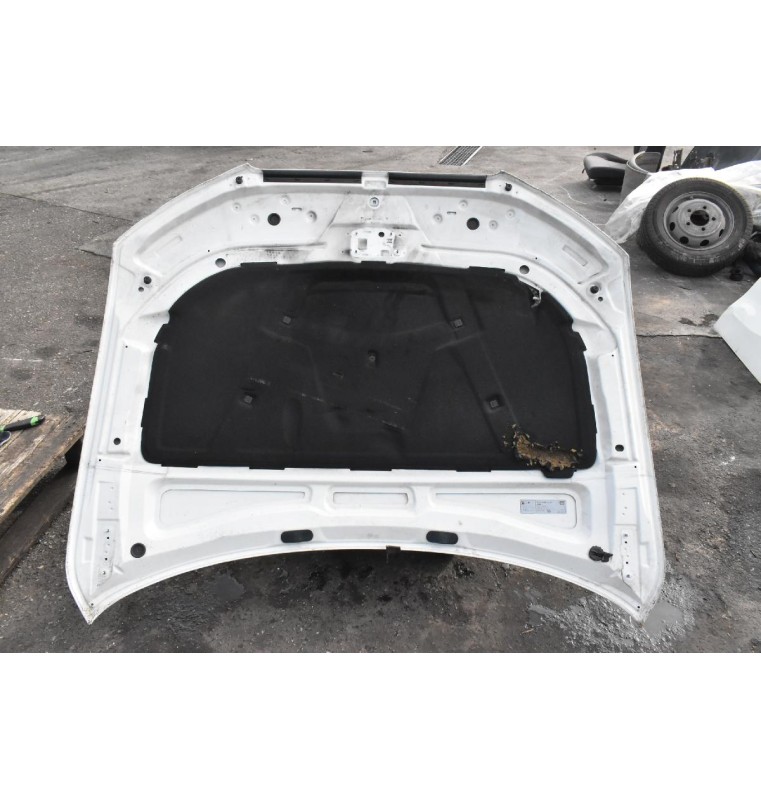 Καπό Audi A4 2008-2011 Β8