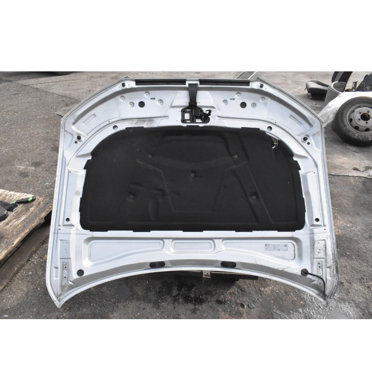 Καπό Audi A4 2008-2011 Β8