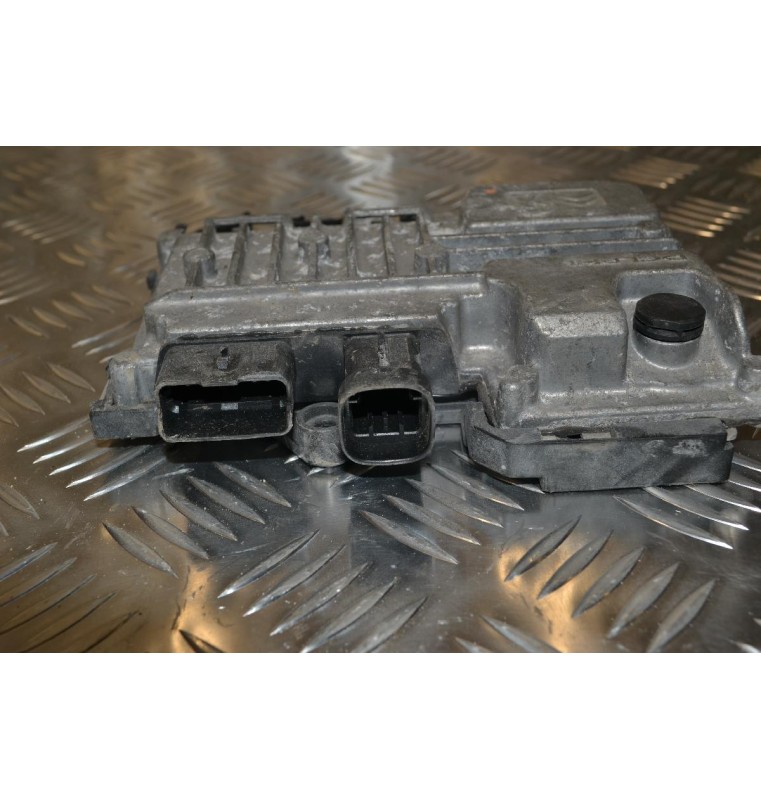 Εγκέφαλος Peugeot 2008 2015-2025 DELPHI 9819596180 000663711163