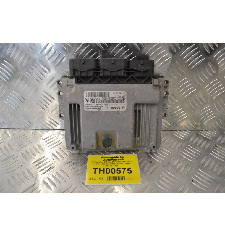 Εγκέφαλος Citroen Berlingo 2000-2025 0281018228 9678818280 9666729580 1039S49037