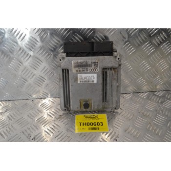Εγκέφαλος Audi A4 2004-2008 0281012113 03G906016GN 1039S10575