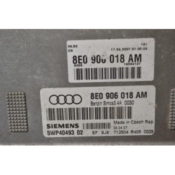 Εγκέφαλος Audi A4 1.6 2000-2005 8E0906018AM 5WP4049302