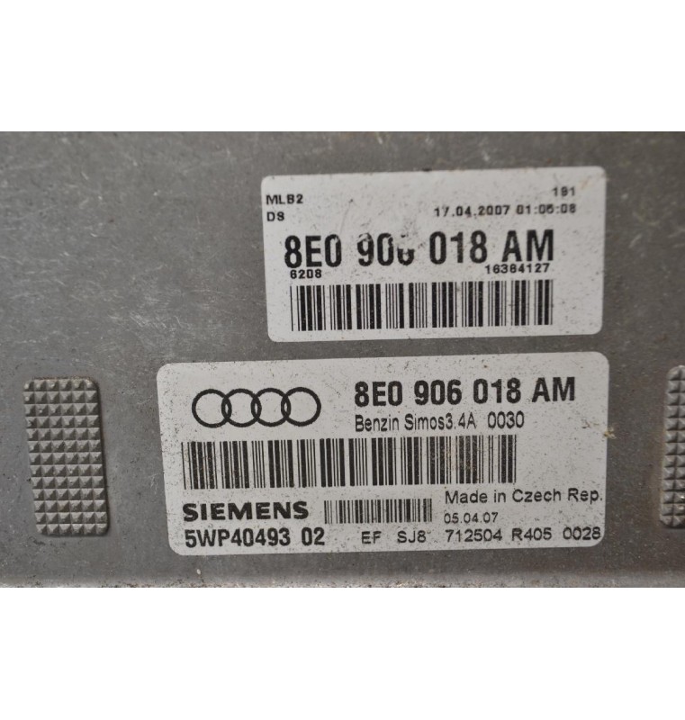 Εγκέφαλος Audi A4 1.6 2000-2005 8E0906018AM 5WP4049302