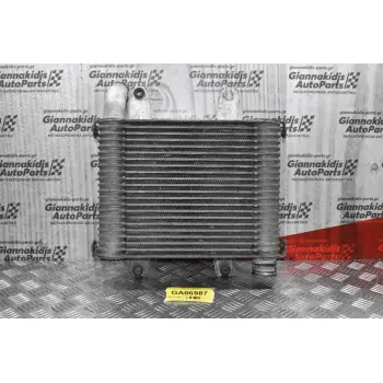 Ψυγείο Intercooler Kia Carnival 1.3 1990-2003 55313550